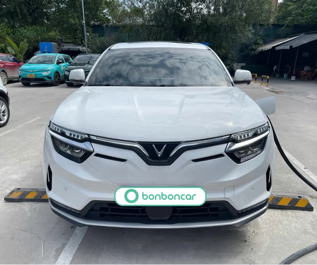 Hình ảnh 3 Image 3