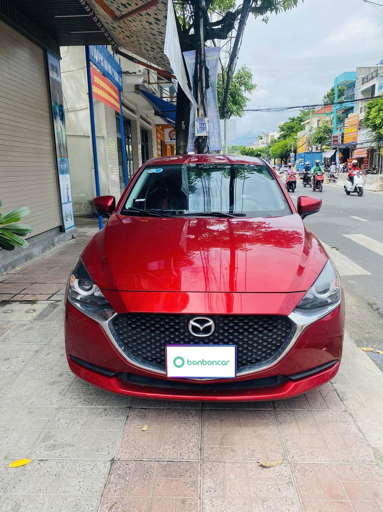 Hình ảnh 1 Image 1