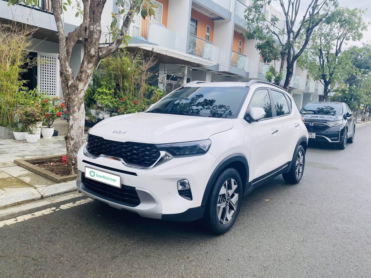 Hình ảnh 2 Image 2