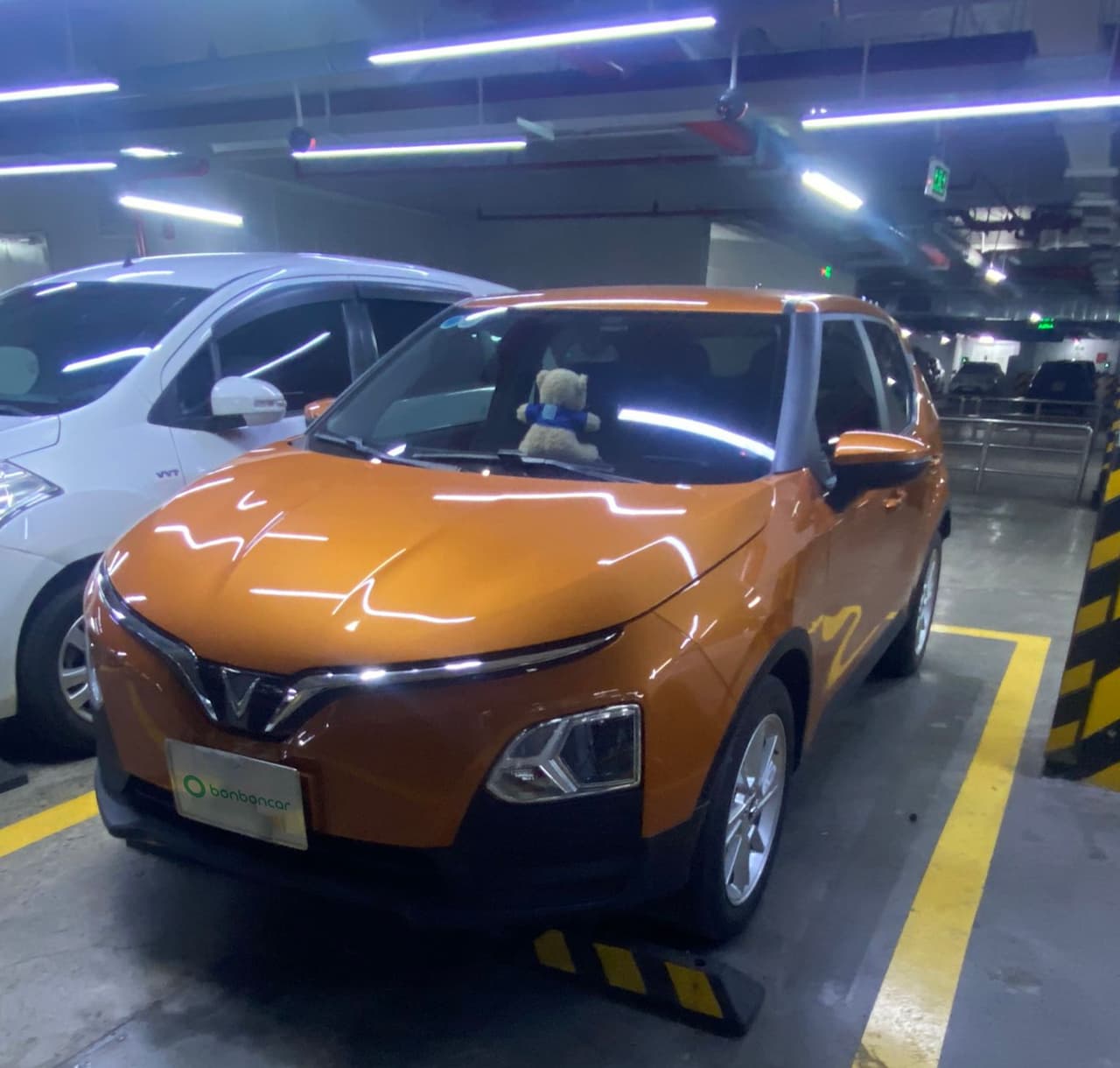 Hình ảnh 1 Image 1