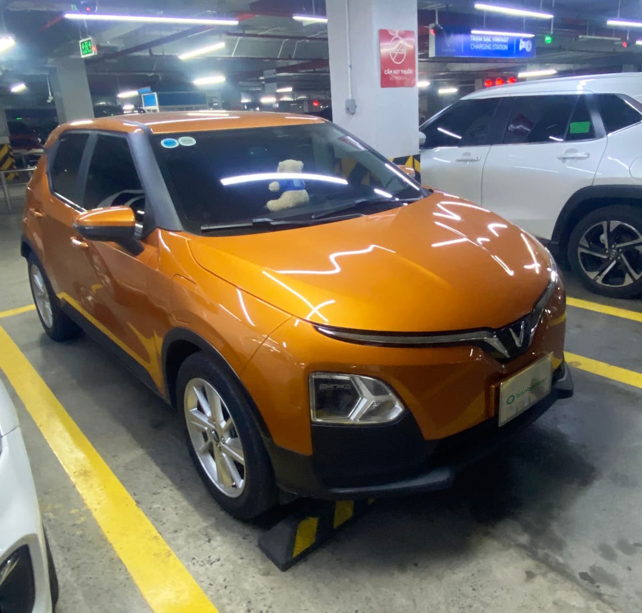 Hình ảnh 2 Image 2