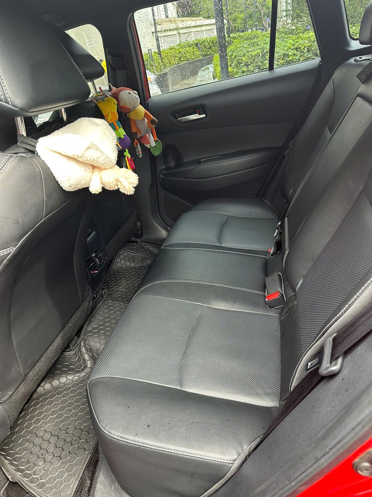 Hình ảnh 5 Image 5