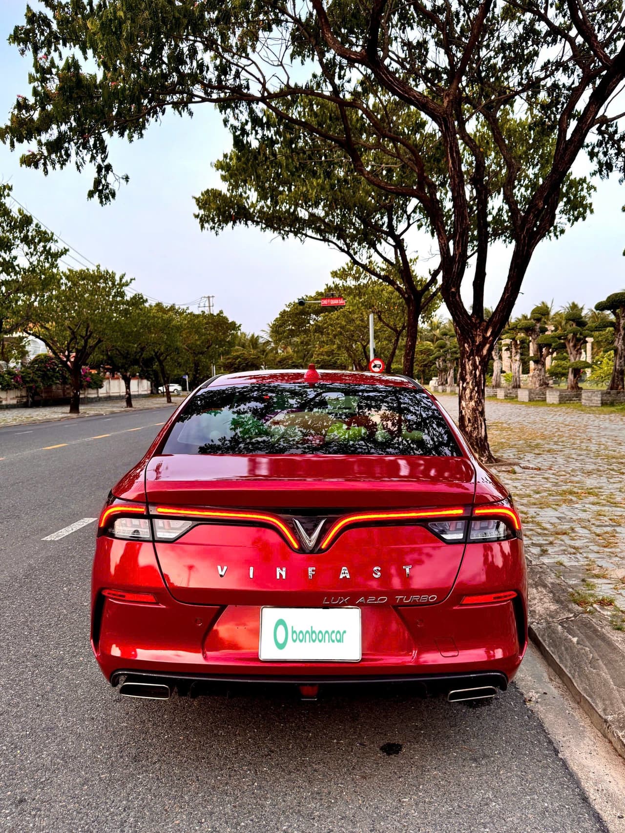 Hình ảnh 5 Image 5